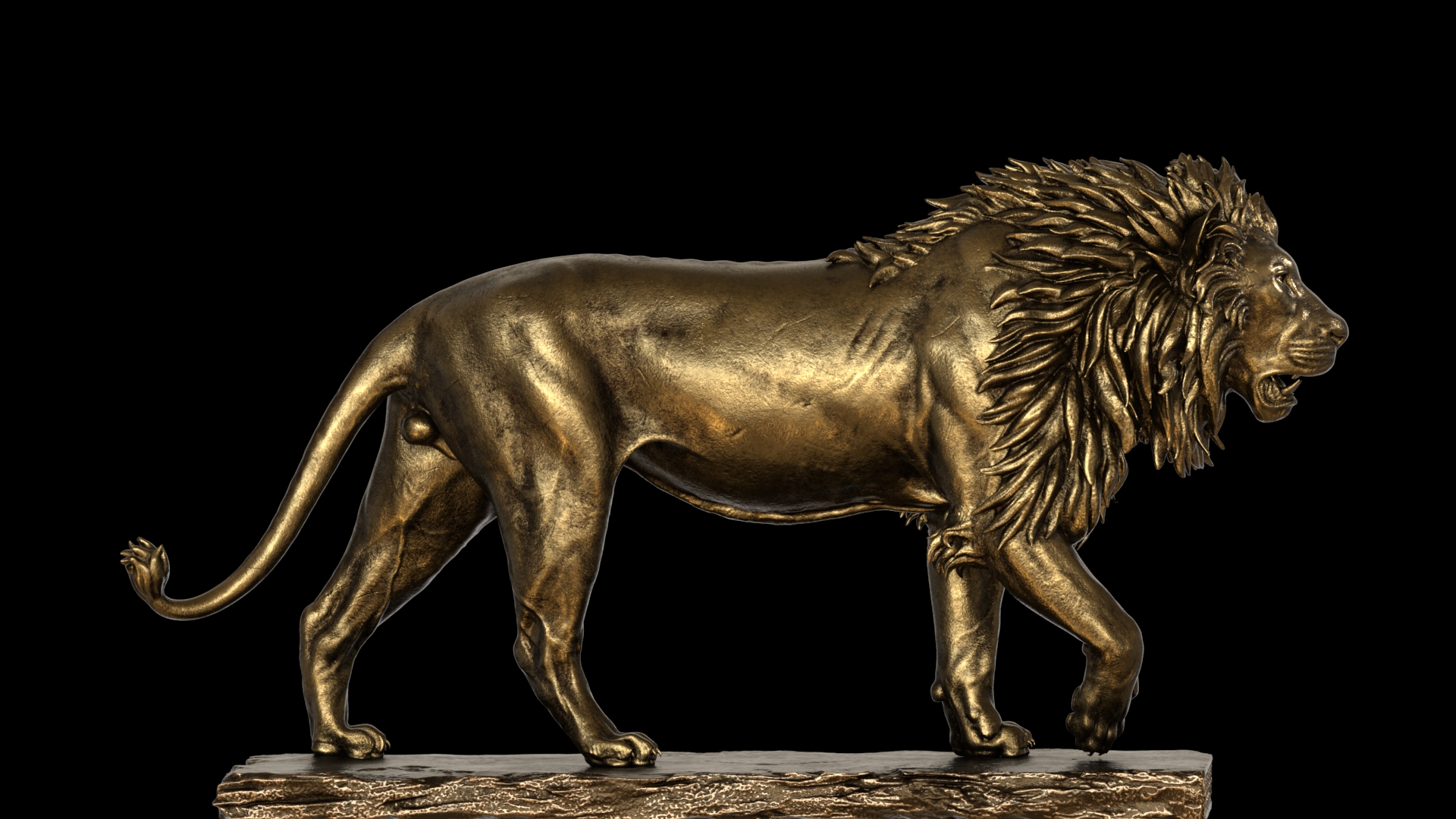 lion